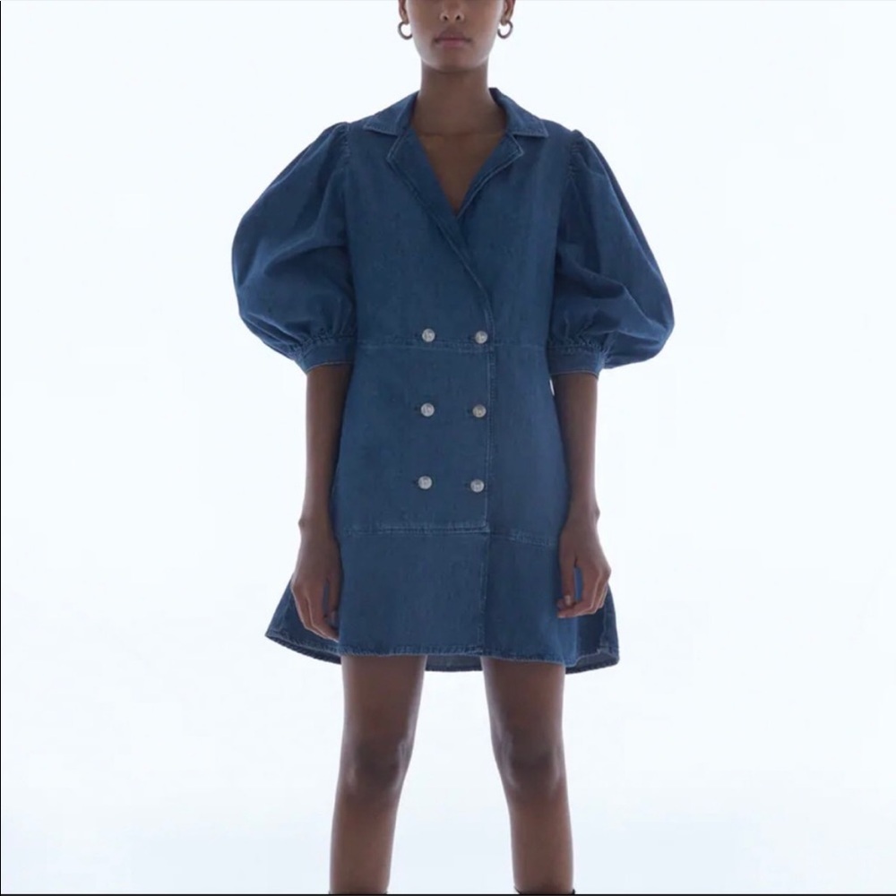 Nwt ZARa blogger double breasted dress denim
